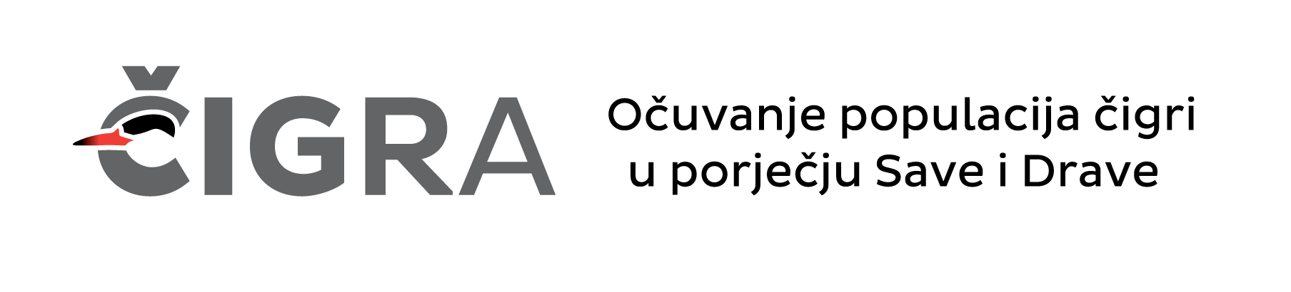 logo čigra