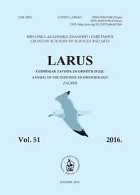 Larus