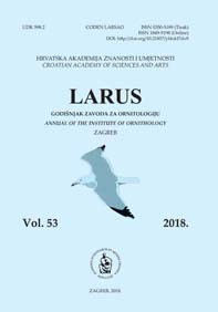 Larus