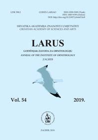 Larus 